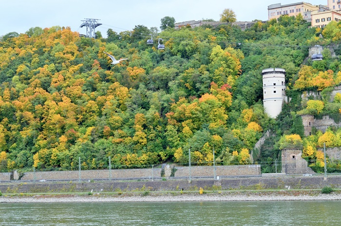 Deutschlandtour_Bullitour_Deutschlandreise_Reise durch Deutschland_mit dem Bulli durch Deutschland_Flitterwochen in Deutschland_Hochzeitsreise durch Deutschland_Andrenach_Koblenz_4 (7786787)