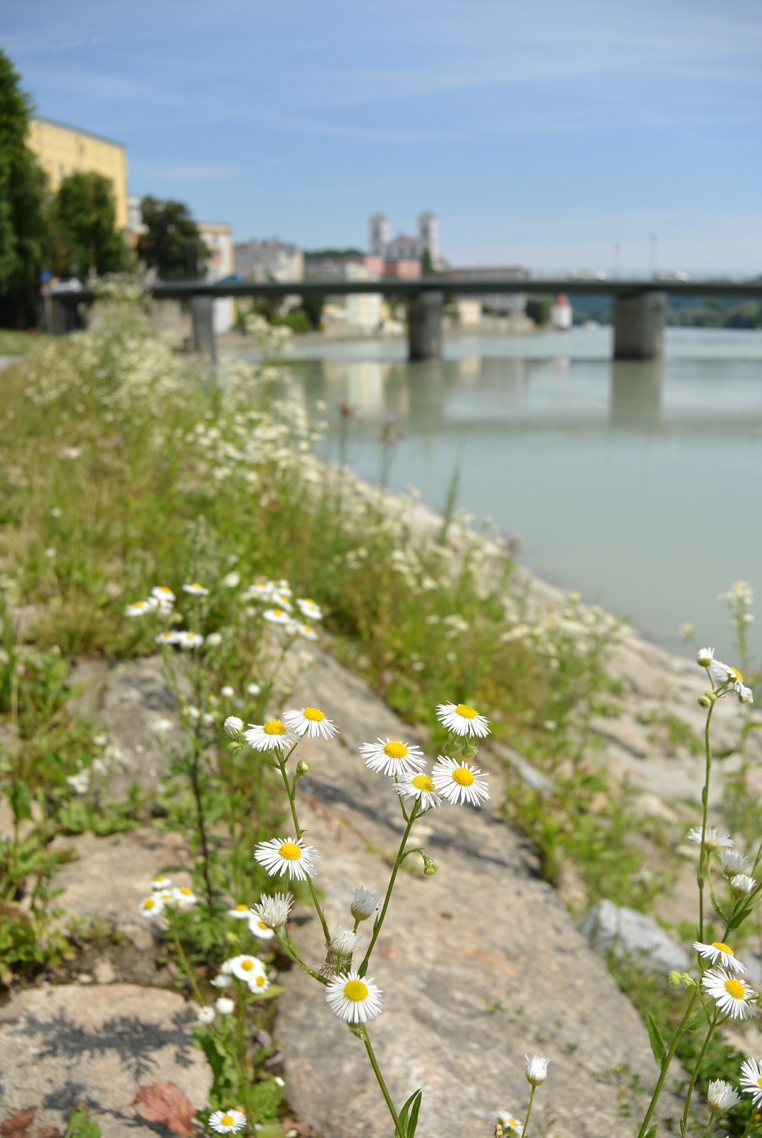 passau_bayerntour_bayern_reiseblog_annanikabu_deutschlandreise-190