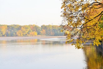 DSC_0605 (2)